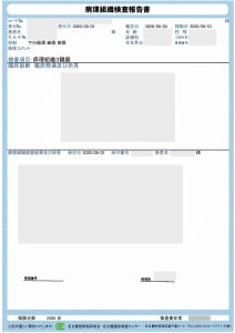 病理組織診断報告書のイメージです。