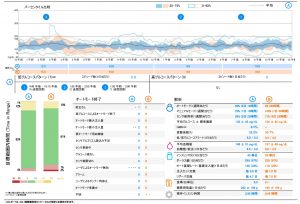 【図2】SAP療法の診察で用いるレポートの例